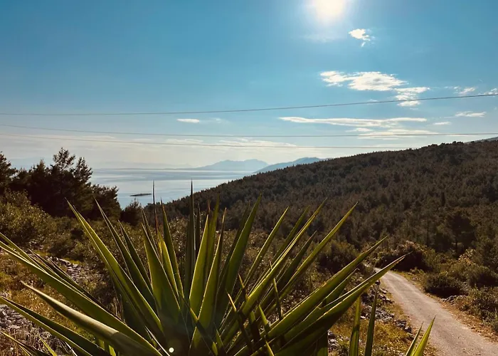 Milton House * Blato (Korcula)